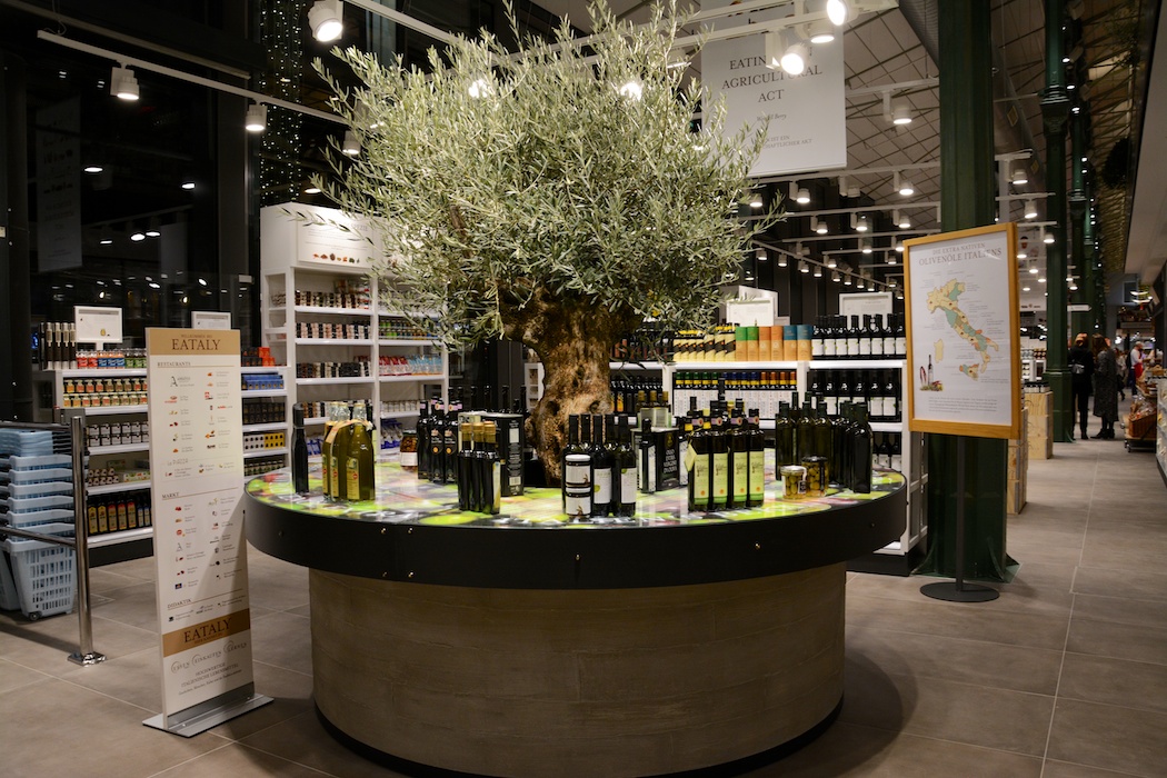 Olivenöl unterm Baum auch mit Degustation